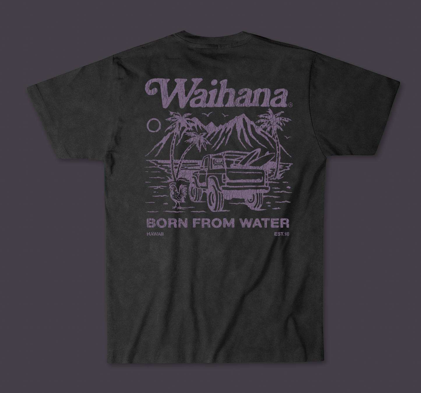 Purple Sands Premium Acid Washed Pima T-Shirt