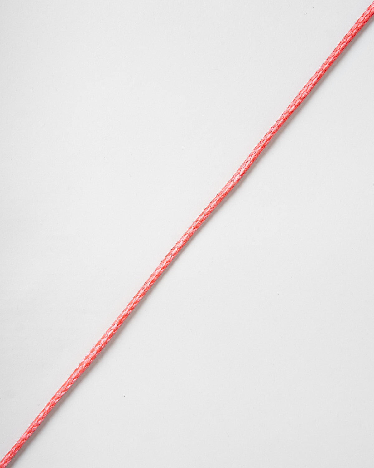 Rooster Rooster Spectwelve | SendIt Sailing