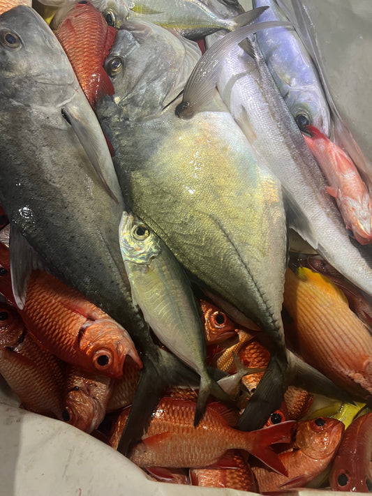 Halalu/Akule Flies 5PK