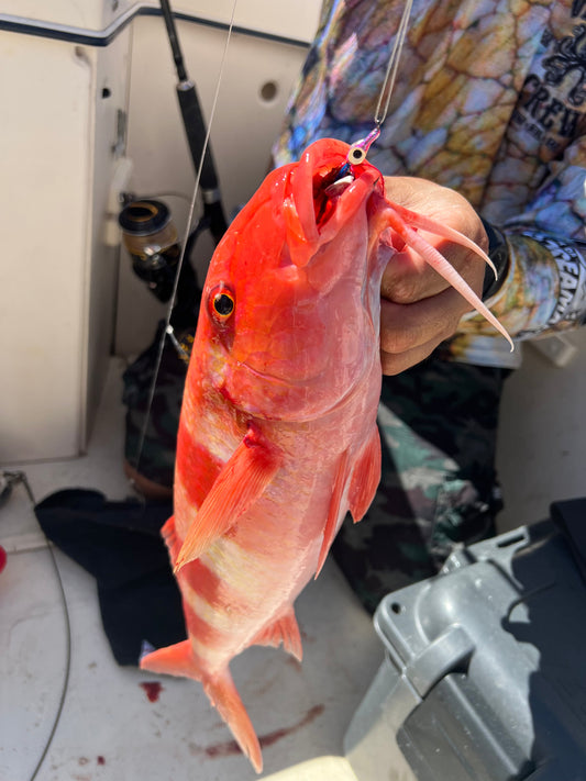 Screamah Flies (3PK)