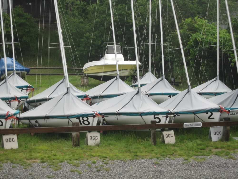 Colie Sails Club 420 Rudder and Tiller Bag