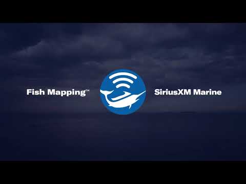 Garmin GXM 54 Satellite Weather/Radio Antenna