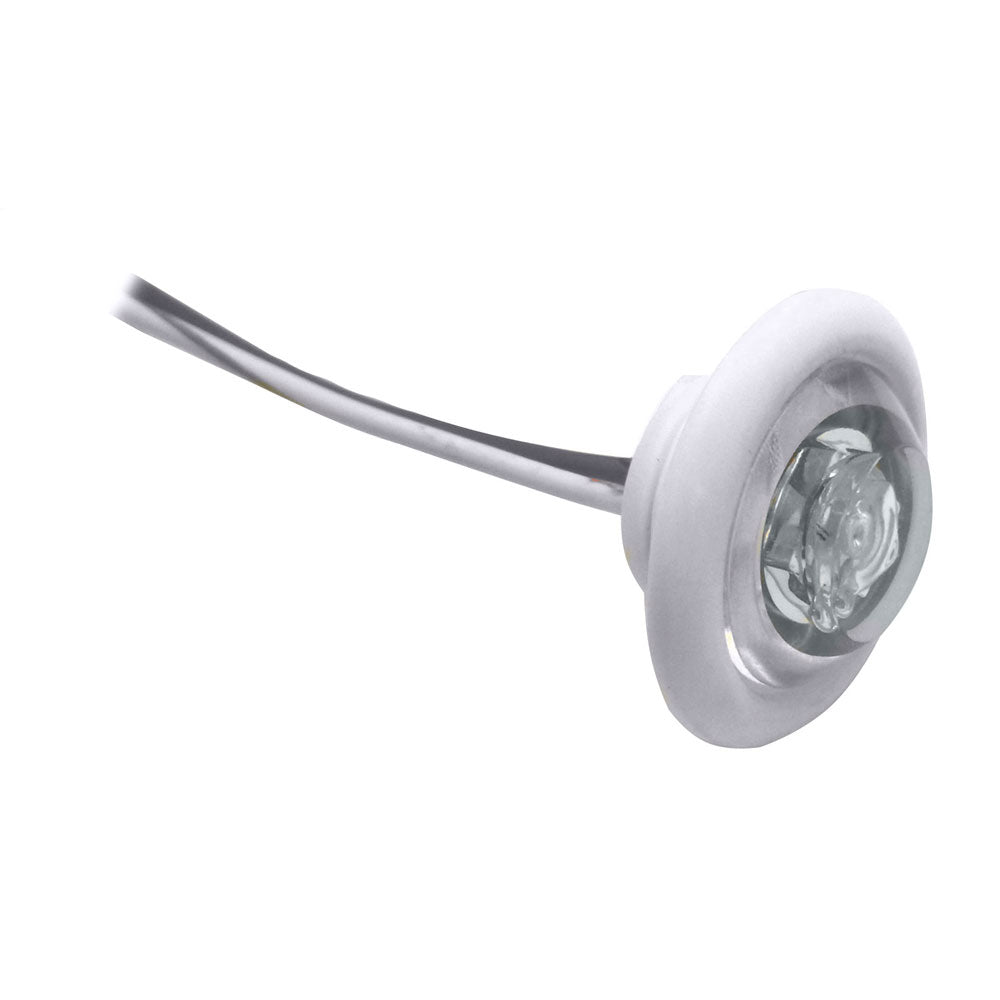 Innovative Lighting LED Bulkhead/Livewell Light inThe Shortiein White LED with White Grommet | SendIt Sailing