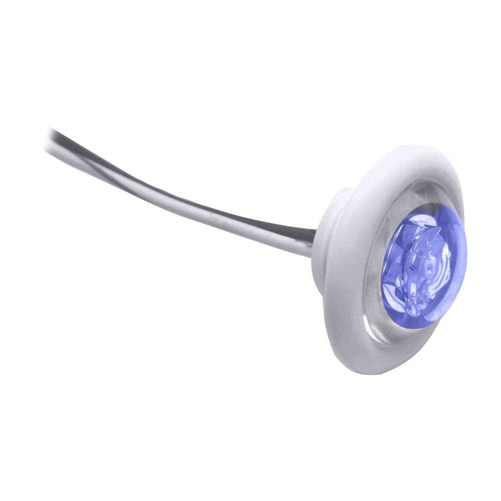 Innovative Lighting LED Bulkhead/Livewell Light inThe Shortiein Blue LED with White Grommet | SendIt Sailing
