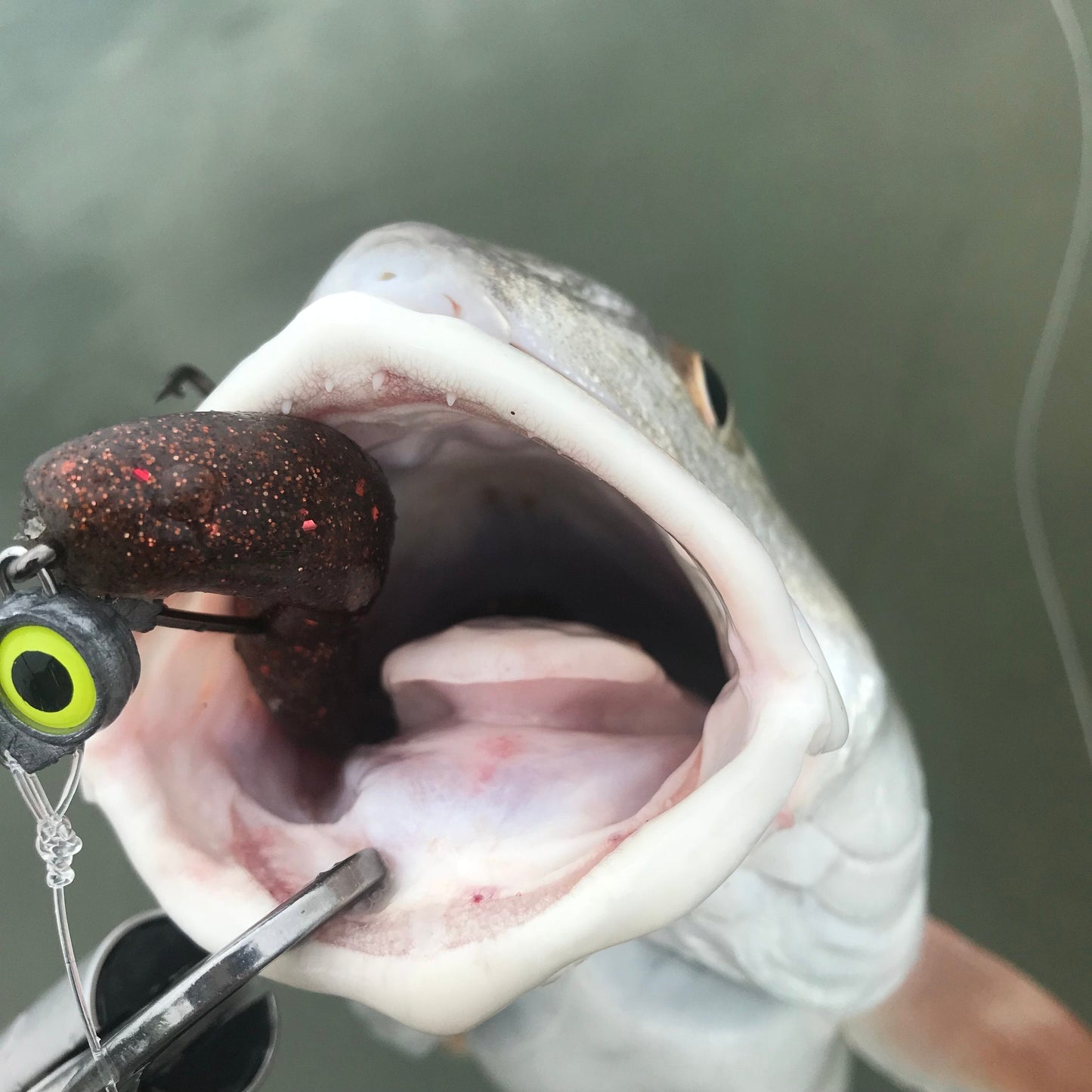 A.M. Fishing Toxic Rootbeer