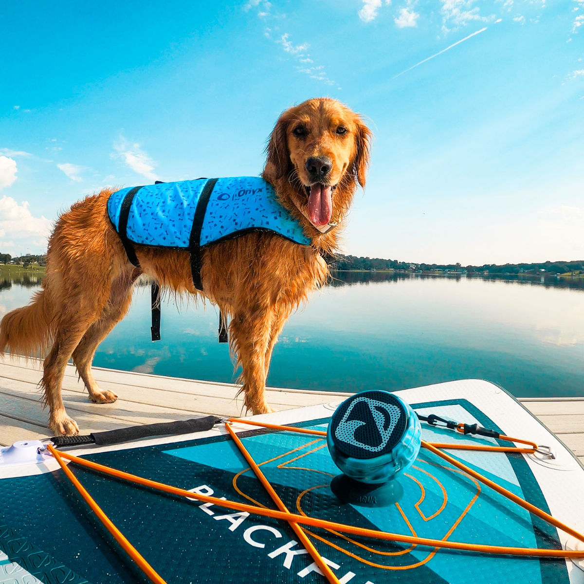 Onyx Dog Life Vest | SendIt Sailing