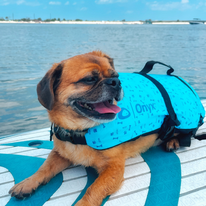 Onyx Dog Life Vest | SendIt Sailing