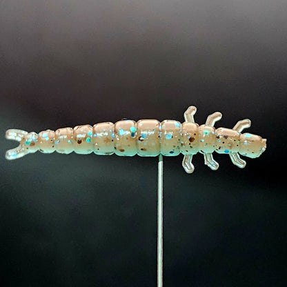 Jar of 1.3" Caddis Fly Larvae "Stream Weaver"