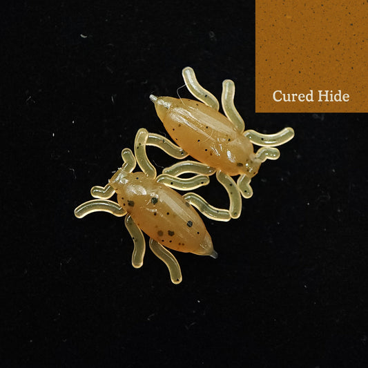 Jar of 0.5" Half Inch Micro Beetle "Toe Biter"