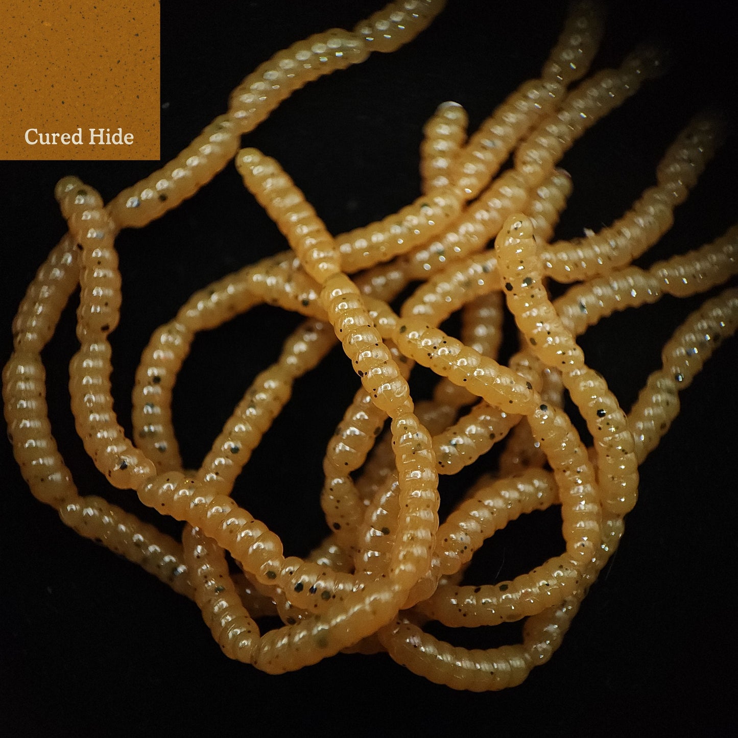 0.5" Inch Maggot Larvae "The Apple Maggot"