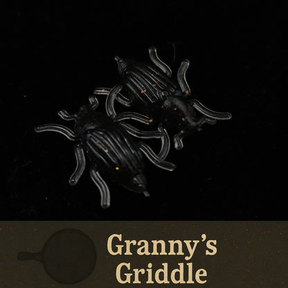 Jar of 0.5" Half Inch Micro Beetle "Toe Biter"