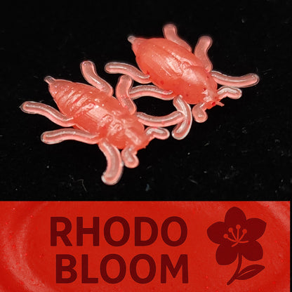 Jar of 0.5" Half Inch Micro Beetle "Toe Biter"