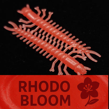 Jar of 1.8" Inch Micro Hellgrammite "The Ditch Devil"