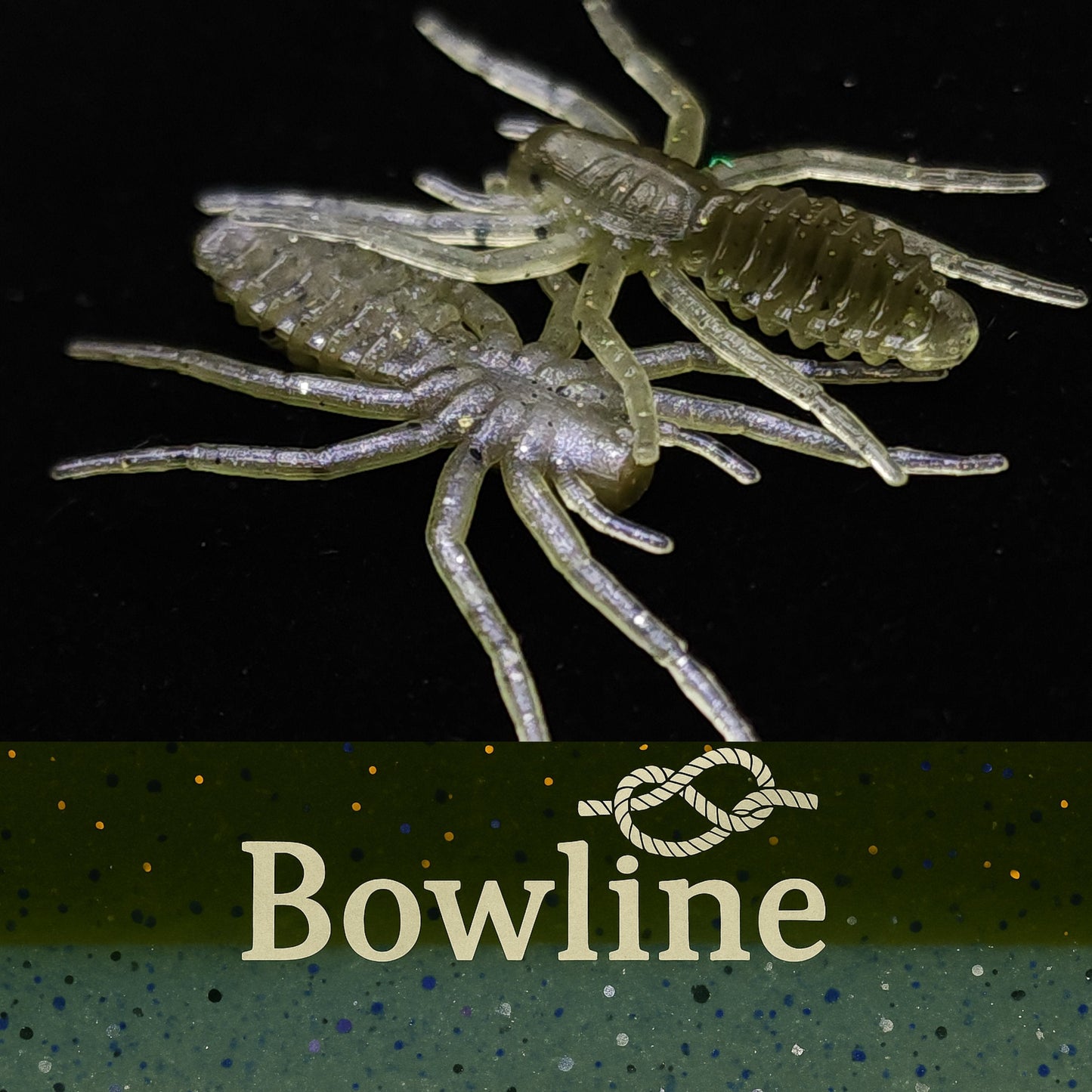 1" Micro Spider Bait "The Writing Spider"