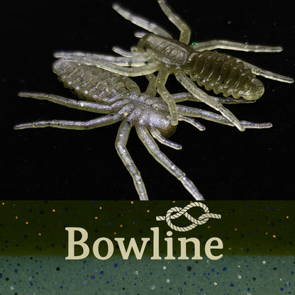 Jar of 1" Micro Spider Bait "The Writing Spider"