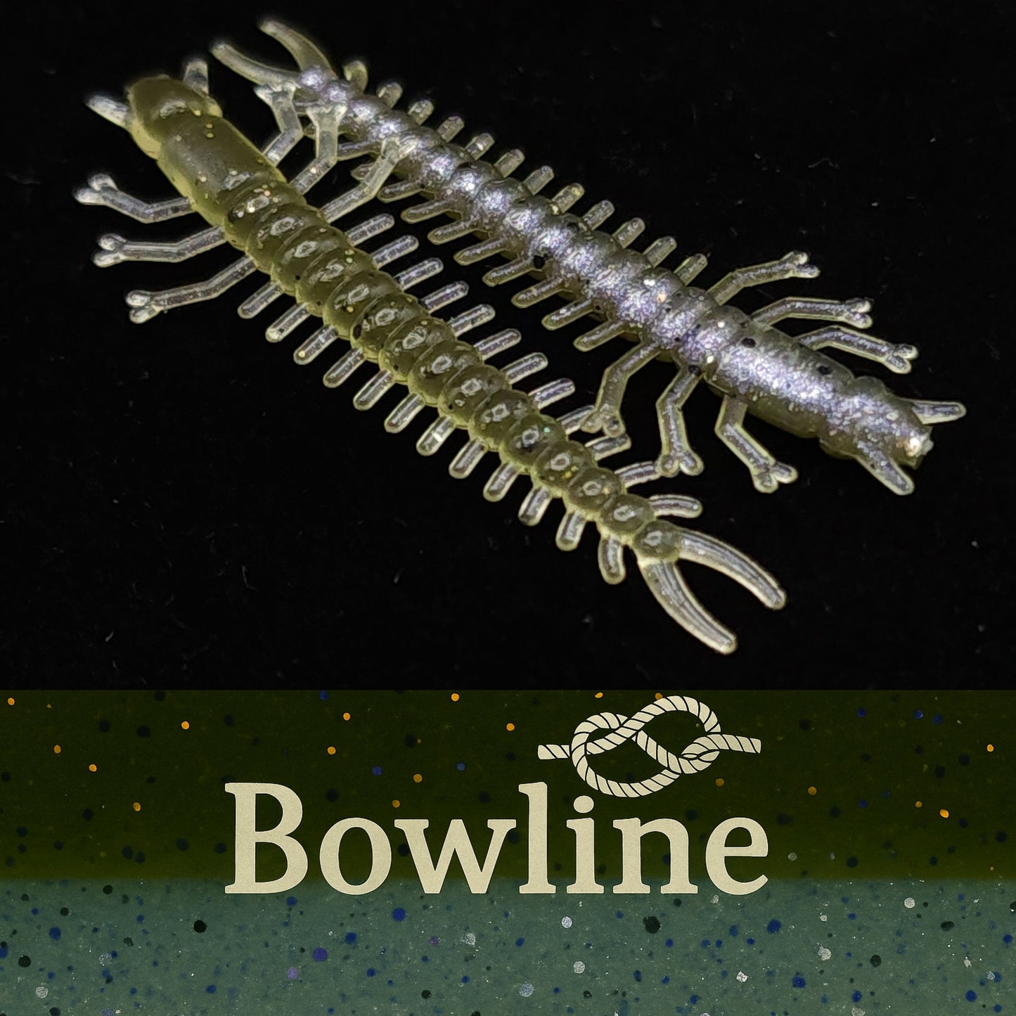 Jar of 1.8" Inch Micro Hellgrammite "The Ditch Devil"