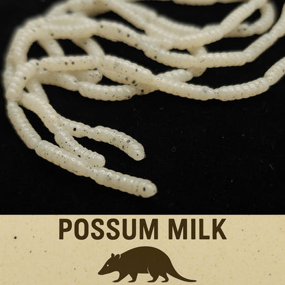 0.5" Inch Maggot Larvae "The Apple Maggot"