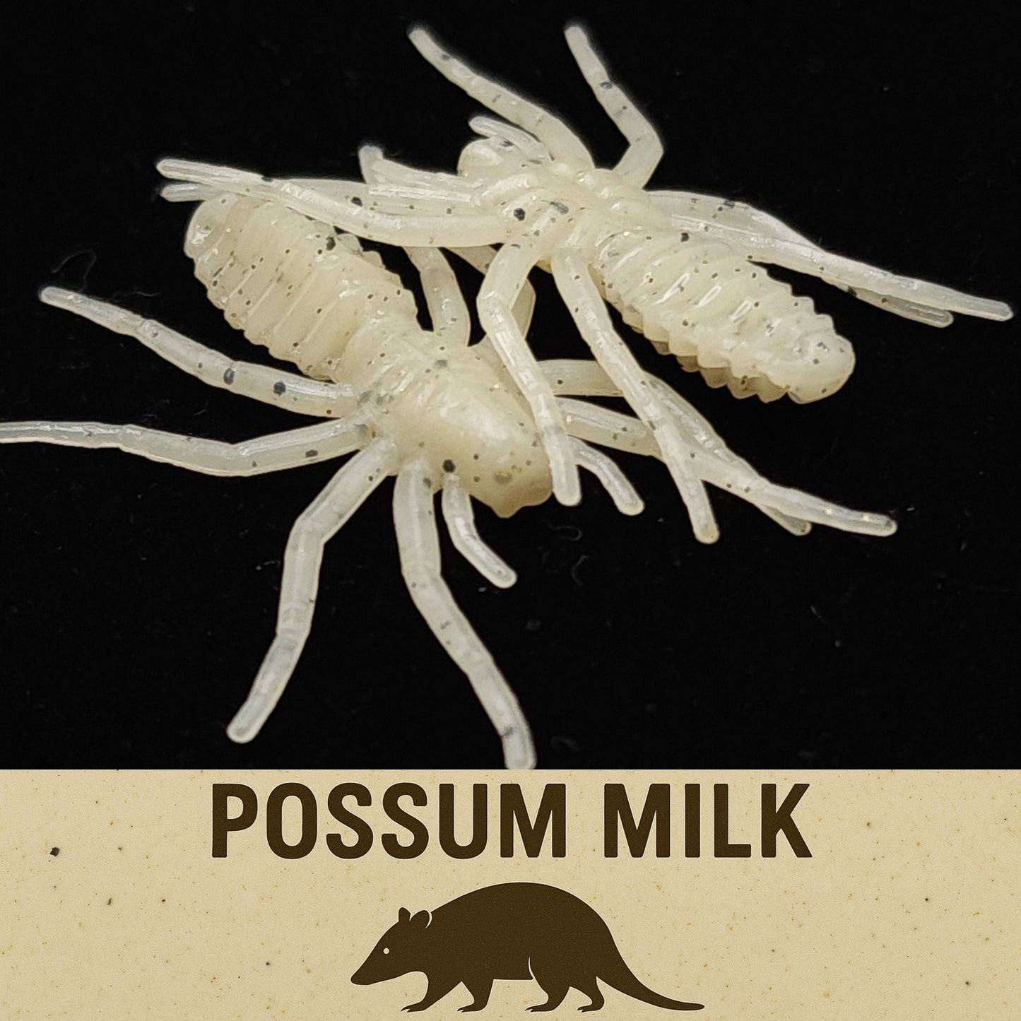 1" Micro Spider Bait "The Writing Spider"