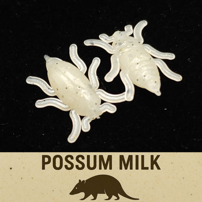 Jar of 0.5" Half Inch Micro Beetle "Toe Biter"