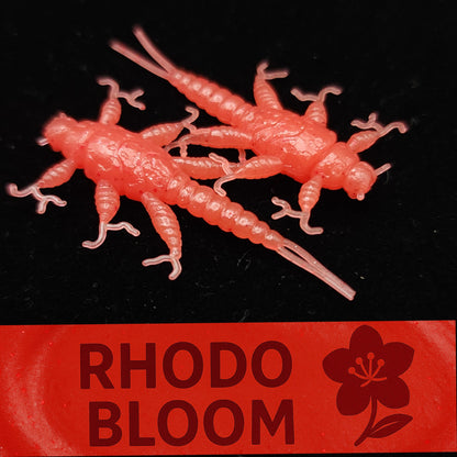 Jar of 1.5" Inch Stonefly Larvae "The Morelkin"