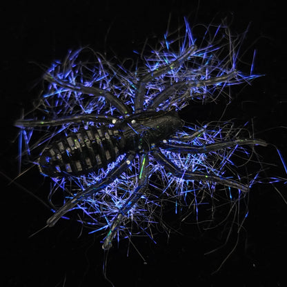 Hairy 1" Micro Spider Bait "The Writing Spider"