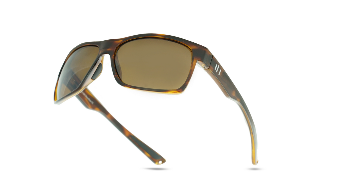 Bandon | Tortoise | Green G22 Lens