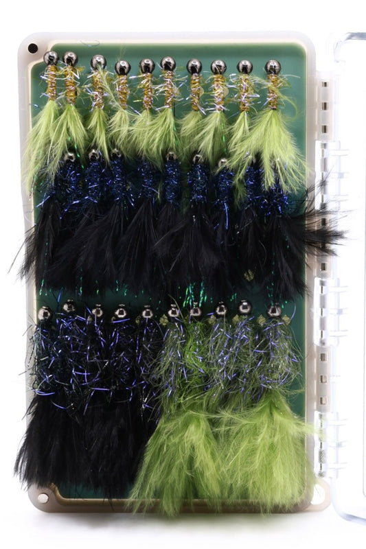 30 Count Bugger and Balanced Leach Box