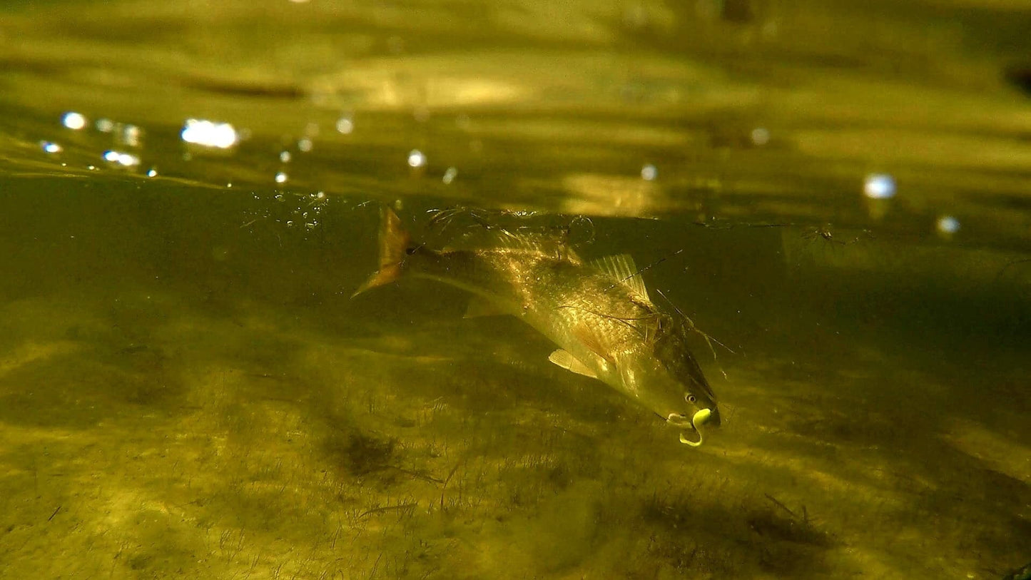 A.M. Fishing Atomic Fire Belly