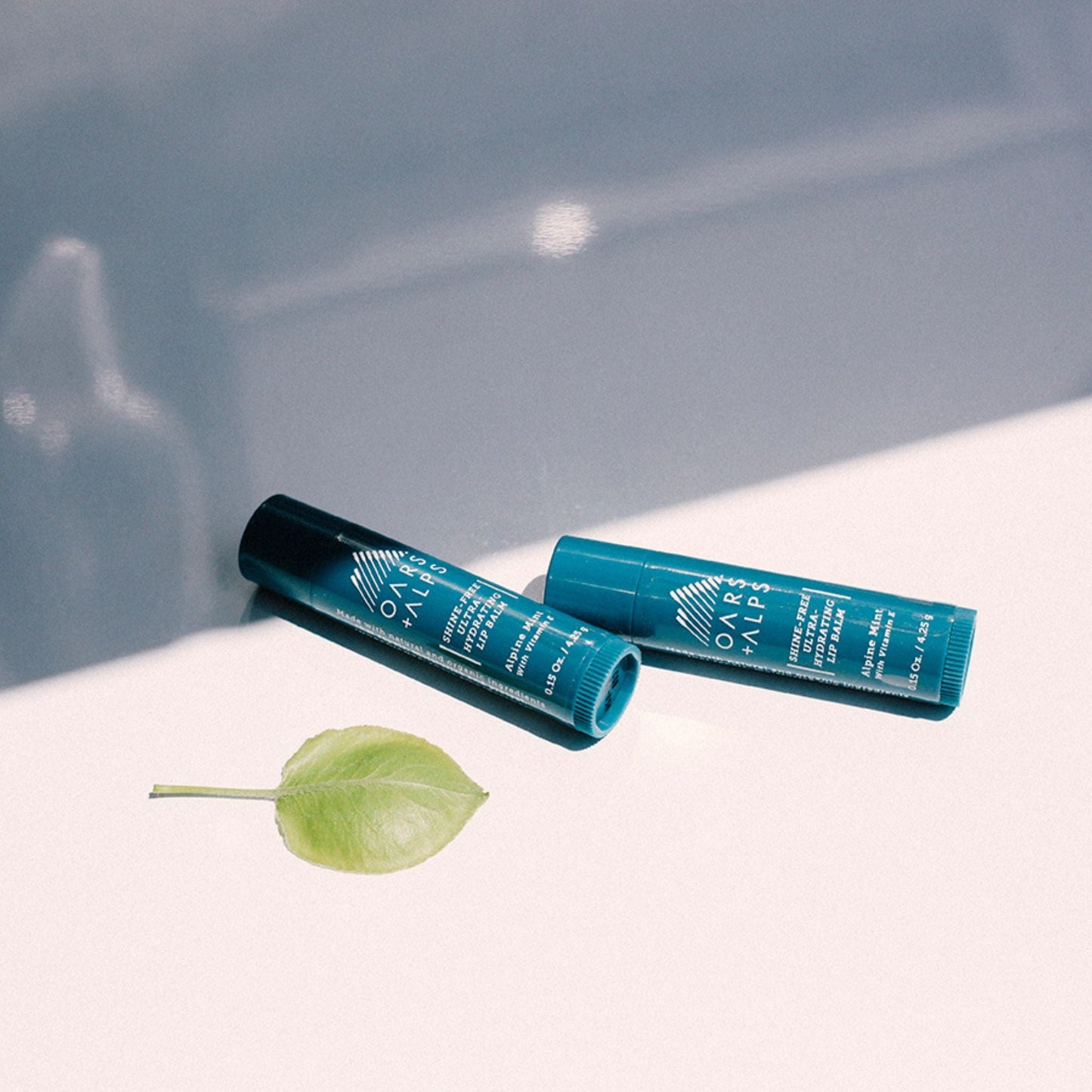 Everyday Essentials Kit - Alpine Tea Tree