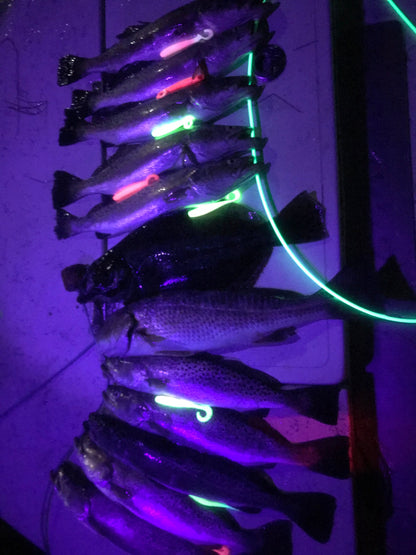 A.M. Fishing UV Flashlight
