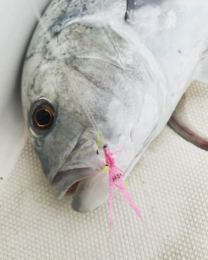 Mystery Smash Boxes (All Flies)