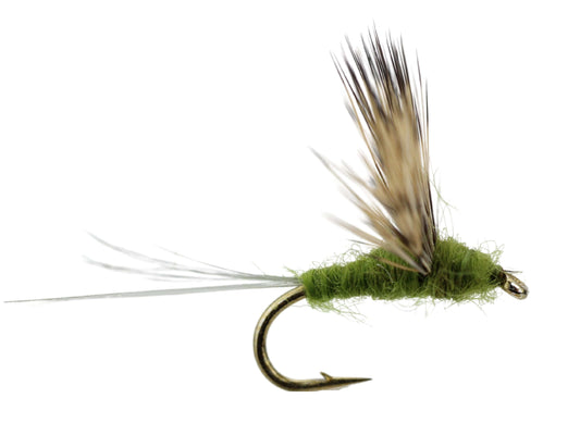 Wild Water Fly Fishing Baetis Comparadun, Size 16 (Qty 6) | SendIt Sailing