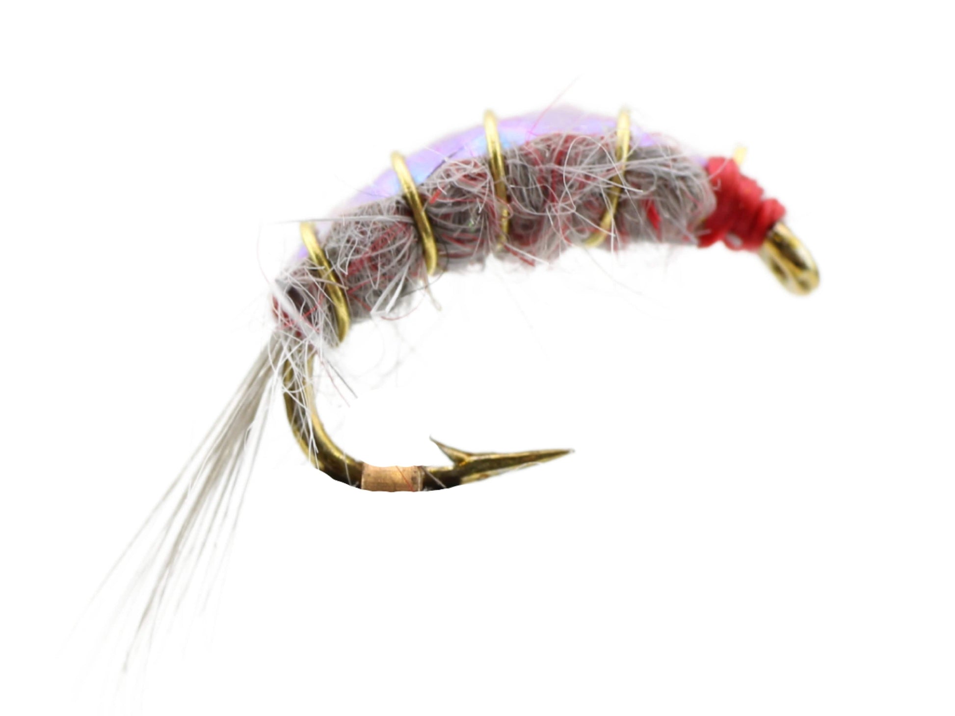 Wild Water Fly Fishing Gooey Big Horn Scud, Size 16 (Qty 6) | SendIt Sailing