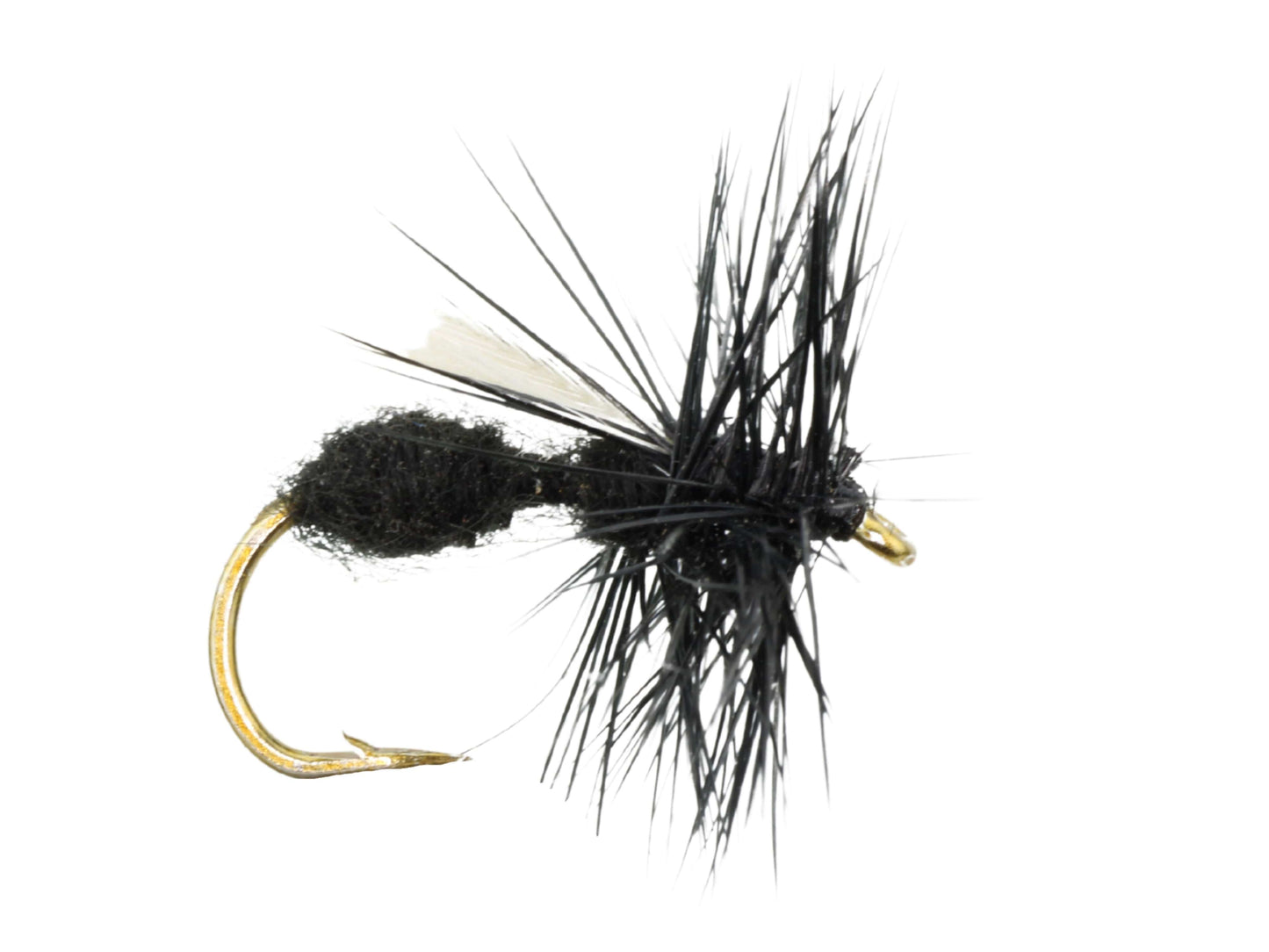 Wild Water Fly Fishing Winged Black Ant, Size 12 (Qty 6) | SendIt Sailing