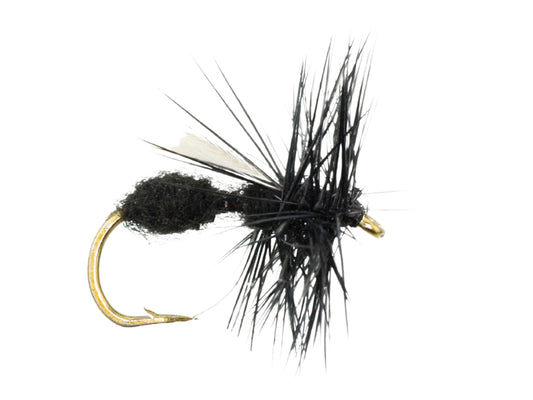 Wild Water Fly Fishing Winged Black Ant, Size 12 (Qty 6) | SendIt Sailing