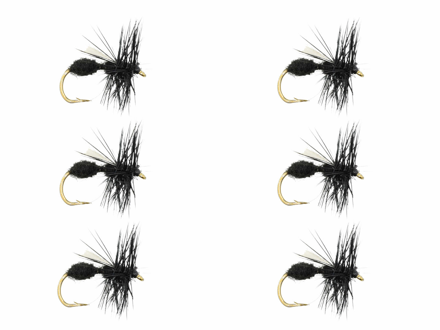 Wild Water Fly Fishing Winged Black Ant, Size 12 (Qty 6) | SendIt Sailing