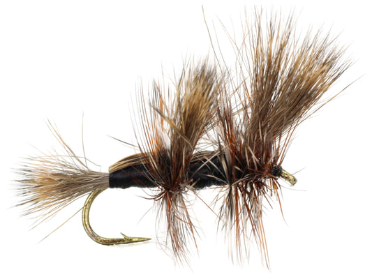 Wild Water Fly Fishing Black Double Humpy, Size 10 (Qty 6) | SendIt Sailing