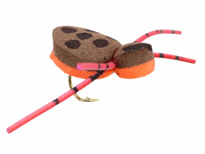 Wild Water Fly Fishing Foam Brown and Orange Spider, Size 12 (Qty 6) | SendIt Sailing