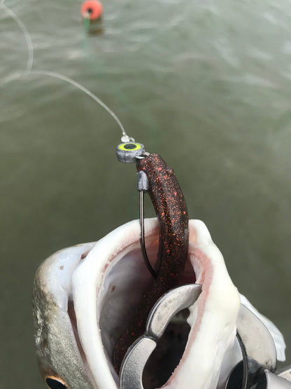 A.M. Fishing Toxic Rootbeer