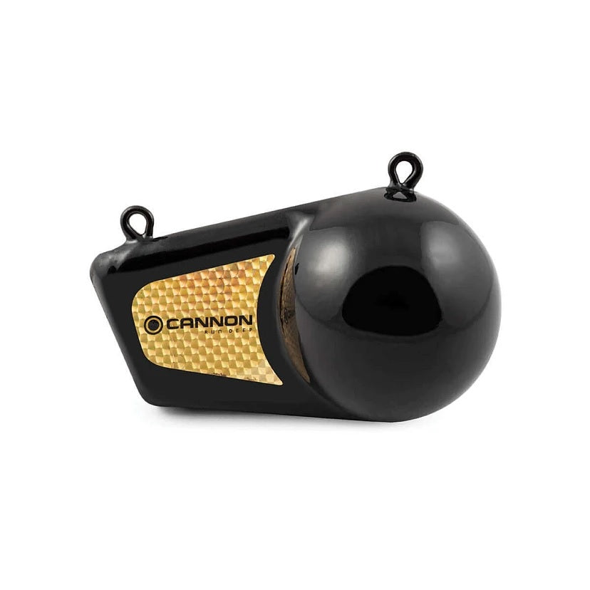 Cannon 12 Pound Flash Weight | SendIt Sailing