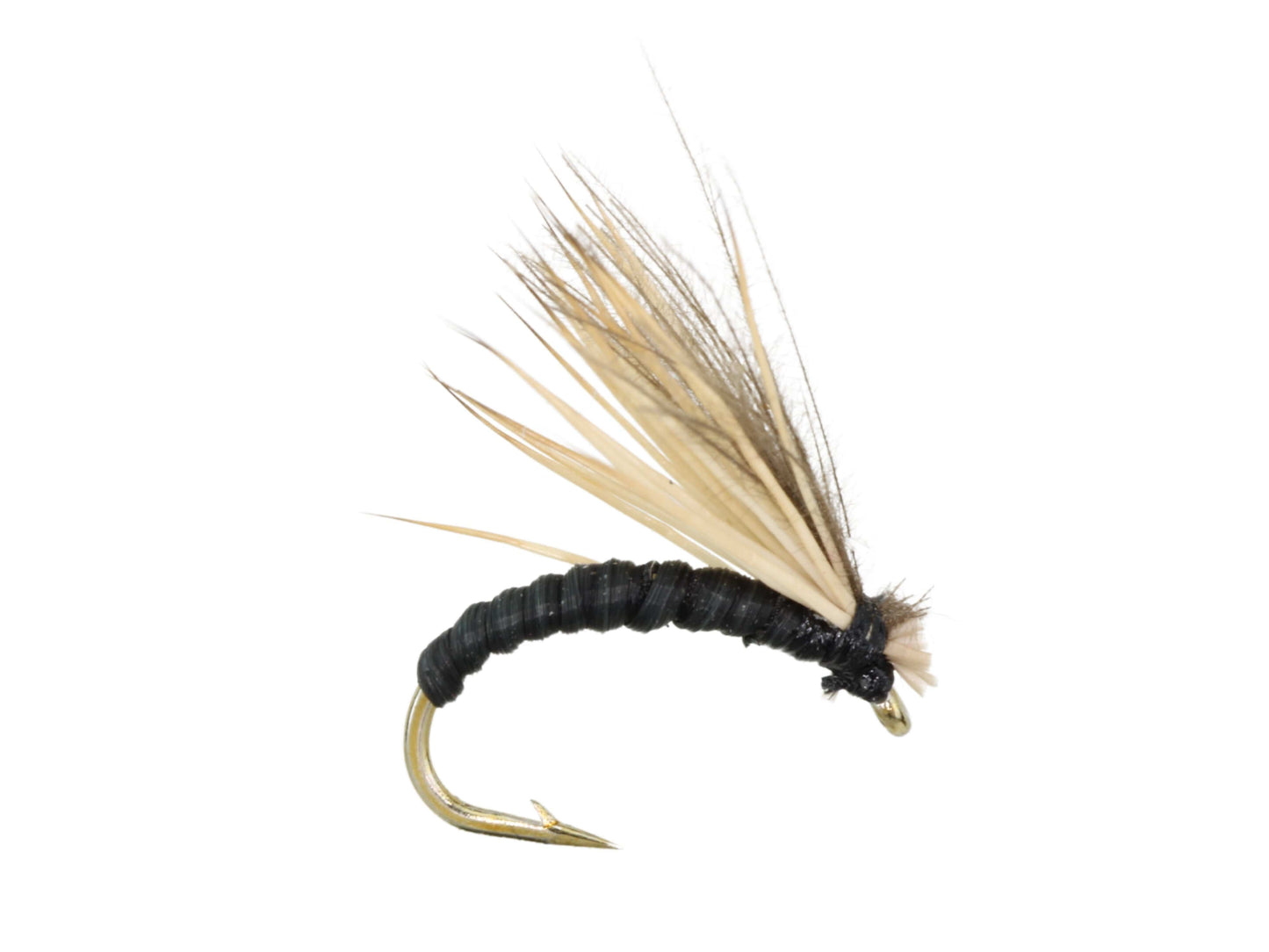 Wild Water Fly Fishing Black Elkwing Caddis, Size 16 (Qty 6) | SendIt Sailing