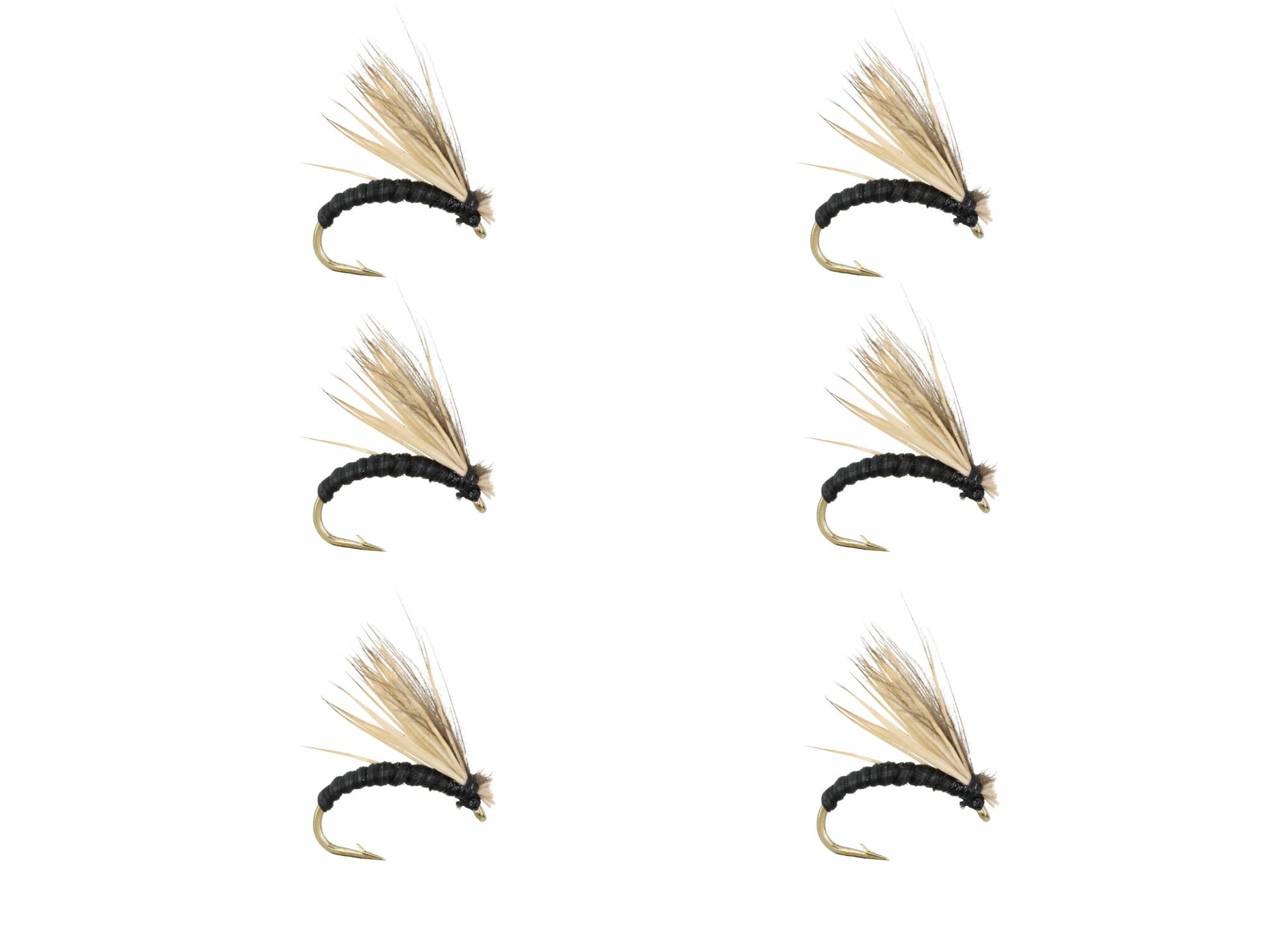 Wild Water Fly Fishing Black Elkwing Caddis, Size 16 (Qty 6) | SendIt Sailing