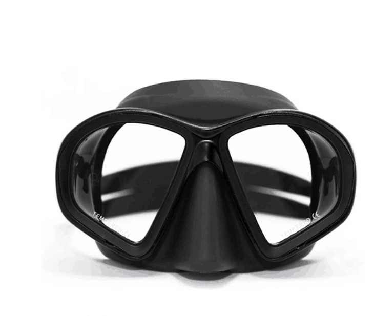 Dive Mask