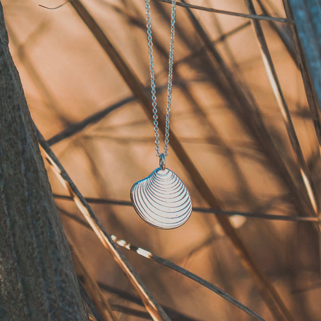 Quahog Shell Necklace | SendIt Sailing