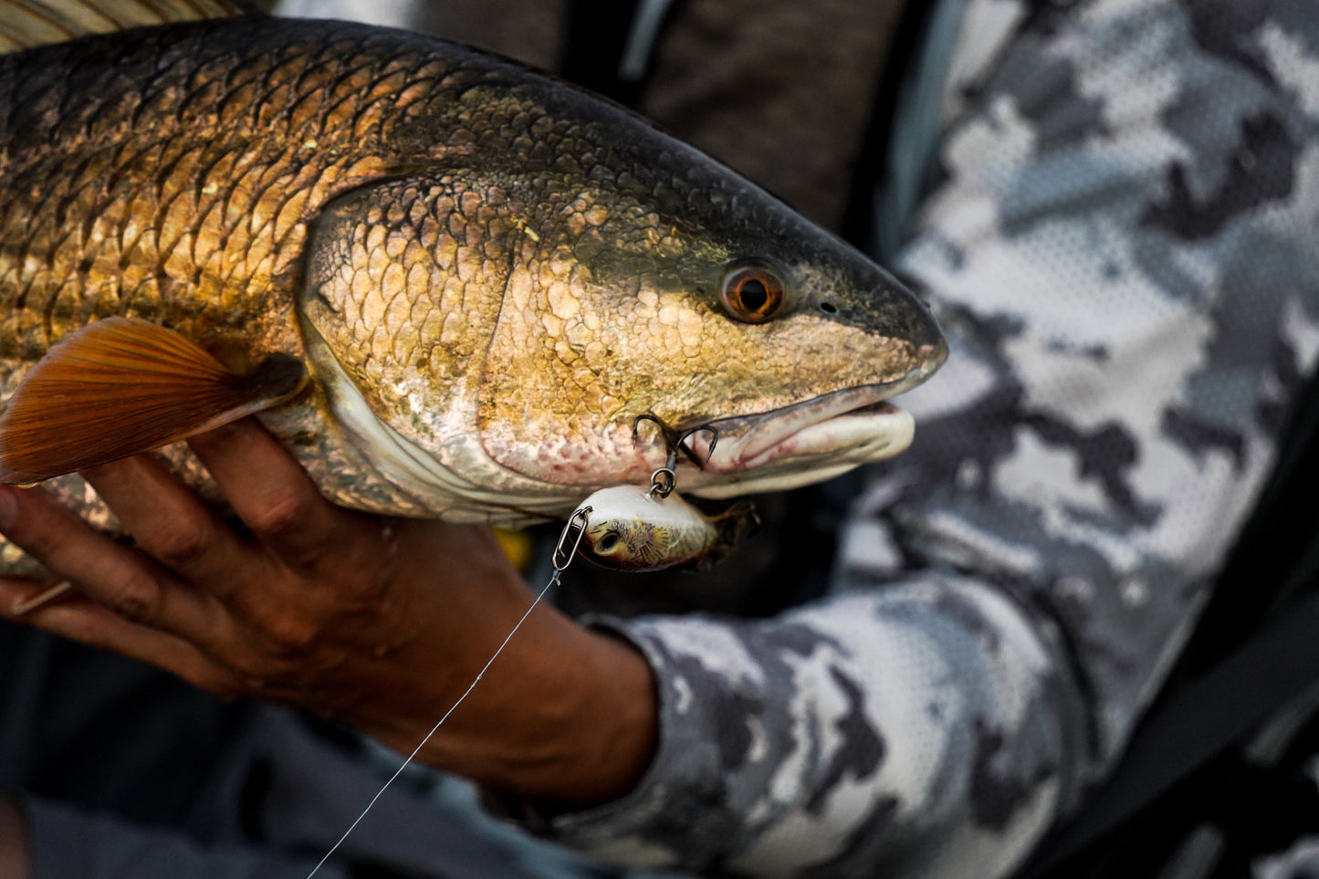 Small Speed Clips (45lbs)