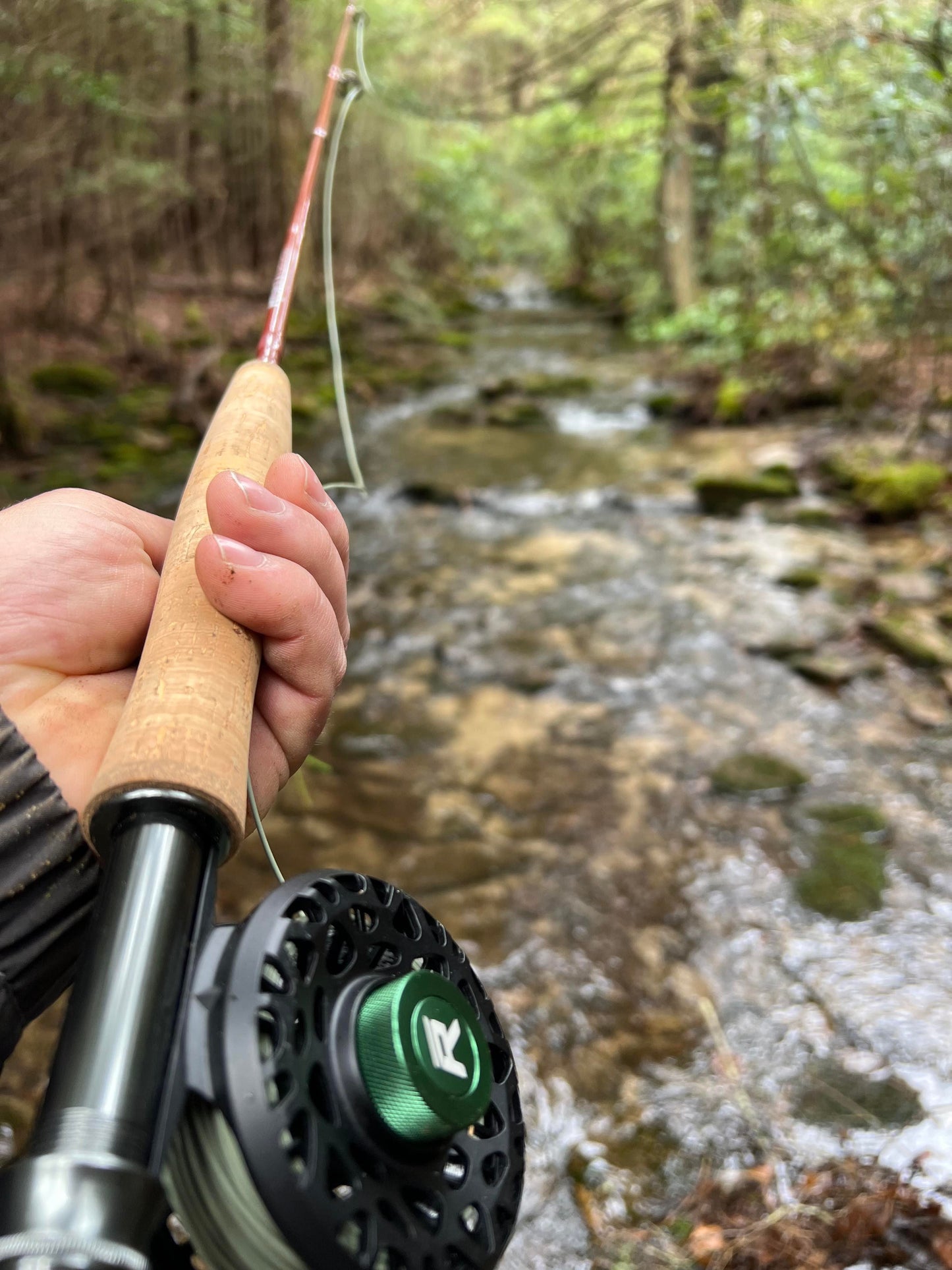 Small Stream Trout Kit