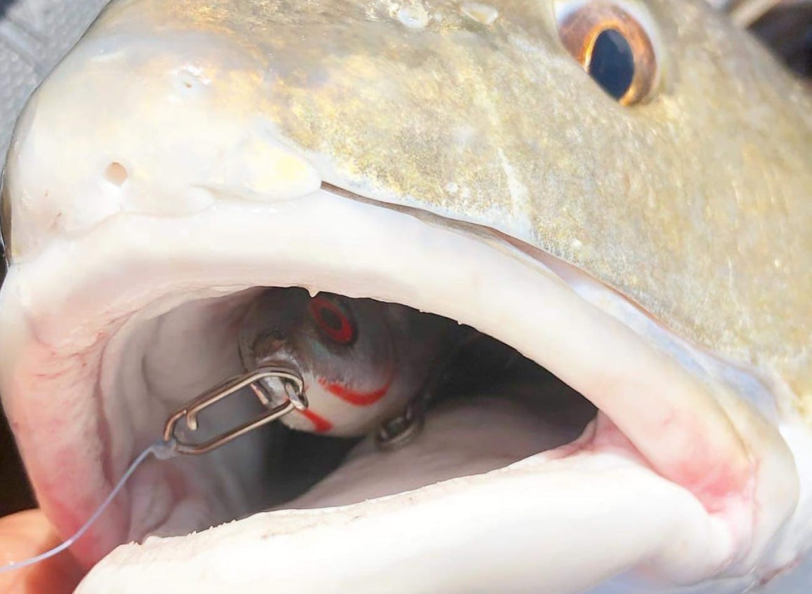 Topwater Co Speed Clips (15-45-70-120lbs)