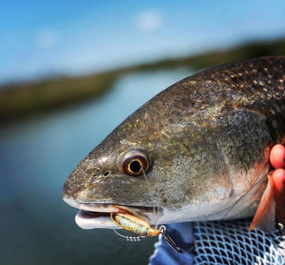 Topwater Co Speed Clips (15-45-70-120lbs)