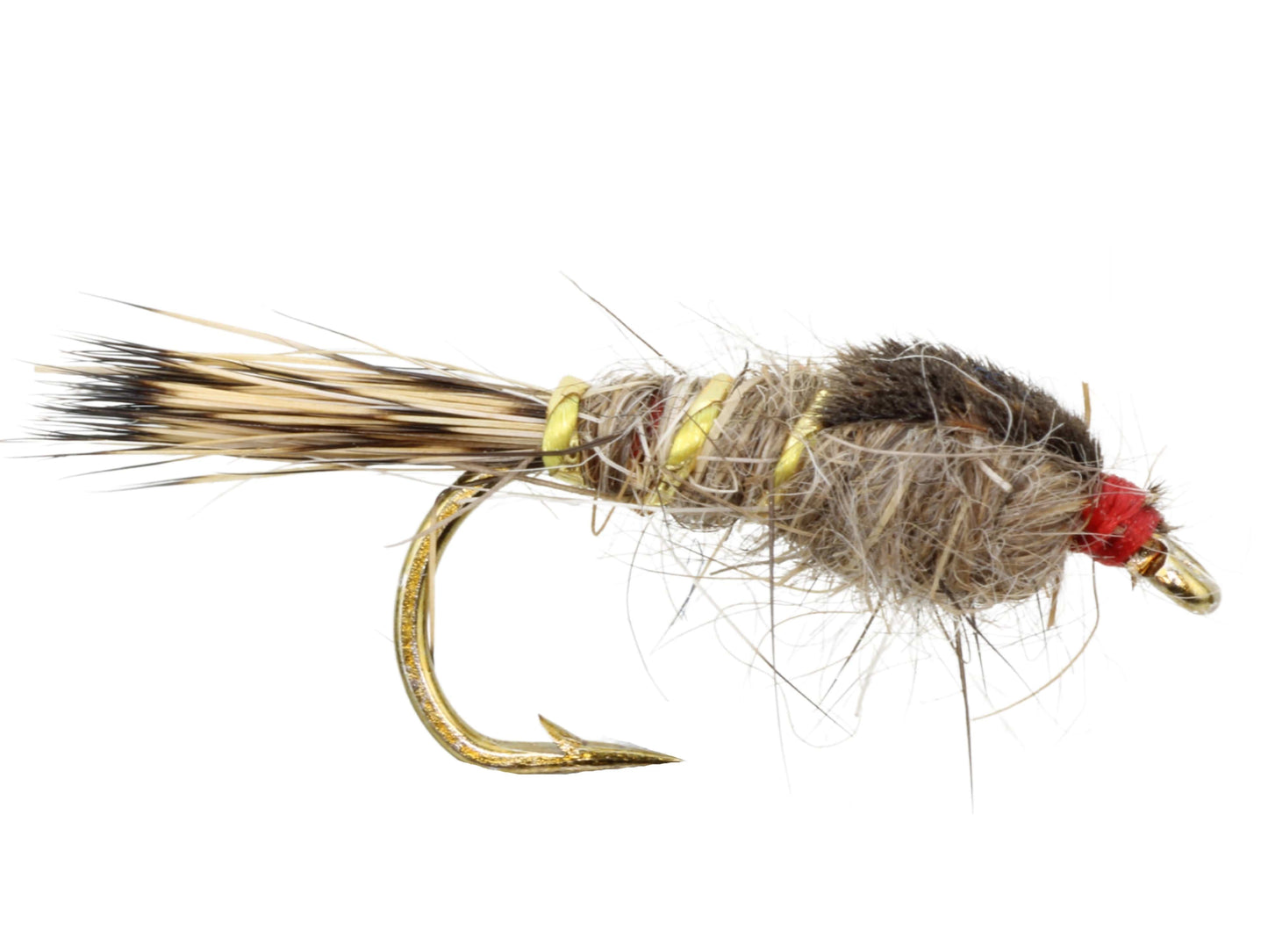 Wild Water Fly Fishing Gold Ribbed Harefts Ear Nymph, Size 12 (Qty 6) | SendIt Sailing