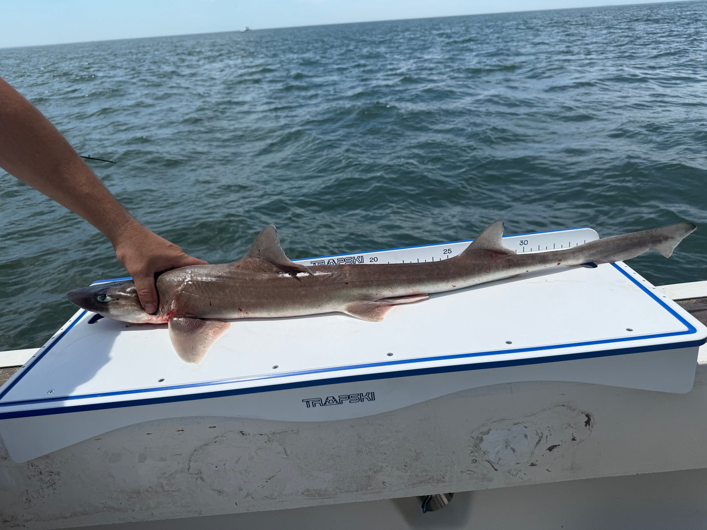 Made in the USA | Premium Double Bucket 33" Raised Fillet Table Cutting Board